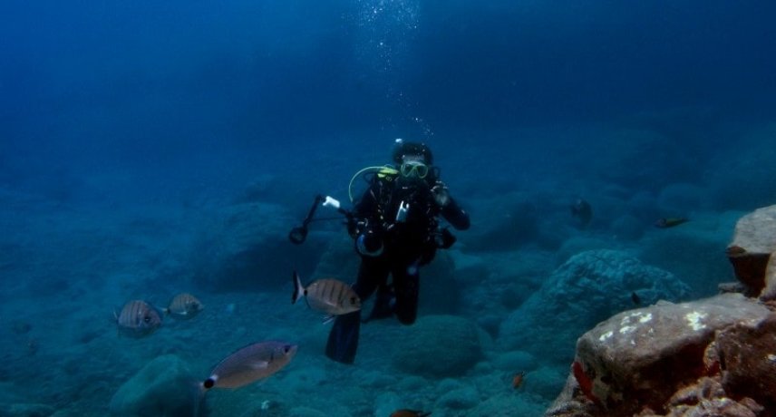 Scuba Diving & Snorkeling in Madeira Island